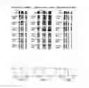 Fig. 03 - DIAGNOSTIC COMPOSITION FOR AUTOIMMUNE DISEASES COMPRISING AGENT MEASURING CD3Z GENE METHYLATION LEVEL AND A METHOD FOR DIAGNOSING AUTOIMMUNE DISEASES USING THE SAME