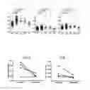 Fig. 04 - DIAGNOSTIC COMPOSITION FOR AUTOIMMUNE DISEASES COMPRISING AGENT MEASURING CD3Z GENE METHYLATION LEVEL AND A METHOD FOR DIAGNOSING AUTOIMMUNE DISEASES USING THE SAME