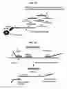 Fig. 13 - Methods and compositions for nucleic acid amplification