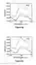 Fig. 14 - Nanotube array for optical detection of protein-protein interactions