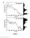 Fig. 16 - Nanotube array for optical detection of protein-protein interactions