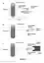 Fig. 31 - Nanotube array for optical detection of protein-protein interactions