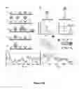 Fig. 34 - Nanotube array for optical detection of protein-protein interactions