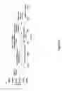 Fig. 47 - Nanotube array for optical detection of protein-protein interactions
