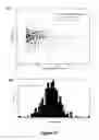 Fig. 62 - Nanotube array for optical detection of protein-protein interactions