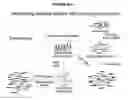 Fig. 10 - GLOBAL MAPPING OF PROTEIN-DNA INTERACTION BY DIGITAL GENOMIC FOOTPRINTING
