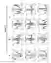 Fig. 14 - GLOBAL MAPPING OF PROTEIN-DNA INTERACTION BY DIGITAL GENOMIC FOOTPRINTING