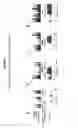 Fig. 15 - GLOBAL MAPPING OF PROTEIN-DNA INTERACTION BY DIGITAL GENOMIC FOOTPRINTING