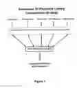 Fig. 02 - METHODS OF CONSTRUCTING AND SCREENING DIVERSE EXPRESSION LIBRARIES