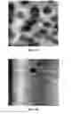 Fig. 08 - Photochemical methods and photoactive compounds for modifying surfaces