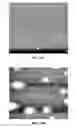 Fig. 19 - Photochemical methods and photoactive compounds for modifying surfaces