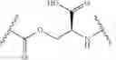 Fig. 28 - PRODRUGS OF GUANFACINE