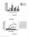 Fig. 08 - PROTEINACEOUS COMPOUNDS AND USES THEREFOR