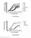 Fig. 09 - PROTEINACEOUS COMPOUNDS AND USES THEREFOR