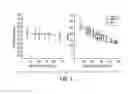 Fig. 03 - Compositions and Methods for Sparing Muscle in Renal Insufficiency and During Hemodialysis