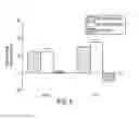 Fig. 06 - Compositions and Methods for Sparing Muscle in Renal Insufficiency and During Hemodialysis