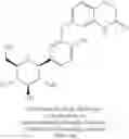 Fig. 101 - Glycoside derivatives and uses thereof
