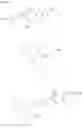 Fig. 41 - Glycoside derivatives and uses thereof