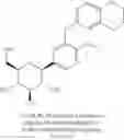 Fig. 87 - Glycoside derivatives and uses thereof
