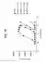 Fig. 03 - FGF 21 polypeptides comprising two or more mutations and uses thereof