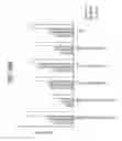 Fig. 65 - FGF 21 polypeptides comprising two or more mutations and uses thereof