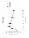 Fig. 76 - FGF 21 polypeptides comprising two or more mutations and uses thereof