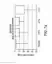 Fig. 08 - Methods of treatment of heart failure with natriuretic peptides