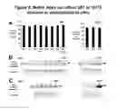 Fig. 03 - NOVEL NETRIN DERIVATIVES AND USES THEREOF