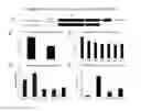 Fig. 07 - NOVEL NETRIN DERIVATIVES AND USES THEREOF