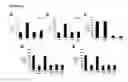 Fig. 09 - NOVEL NETRIN DERIVATIVES AND USES THEREOF