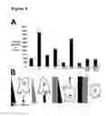 Fig. 10 - NOVEL NETRIN DERIVATIVES AND USES THEREOF