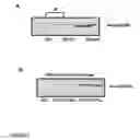 Fig. 06 - Compositions and methods for modulating AMPA receptor-mediated excitotoxicity
