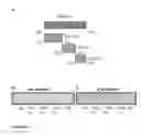 Fig. 07 - Compositions and methods for modulating AMPA receptor-mediated excitotoxicity