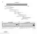 Fig. 08 - Compositions and methods for modulating AMPA receptor-mediated excitotoxicity