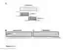 Fig. 09 - Compositions and methods for modulating AMPA receptor-mediated excitotoxicity