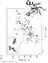 Fig. 03 - Compositions and methods for the inhibition of dishevelled proteins