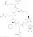 Fig. 115 - Melanocortin receptor-specific peptides