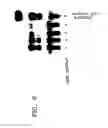 Fig. 08 - STABLE LIPID-COMPRISING DRUG DELIVERY COMPLEXES AND METHODS FOR THEIR PRODUCTION