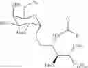Fig. 111 - Methods for preparation of glycosphingolipids and uses thereof