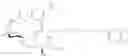 Fig. 66 - Methods for preparation of glycosphingolipids and uses thereof