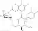 Fig. 79 - Methods for preparation of glycosphingolipids and uses thereof
