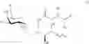 Fig. 92 - Methods for preparation of glycosphingolipids and uses thereof