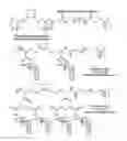 Fig. 01 - Cyclodextrin-based polymers for therapeutics delivery