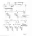 Fig. 02 - Cyclodextrin-based polymers for therapeutics delivery