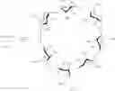 Fig. 32 - Cyclodextrin-based polymers for therapeutics delivery