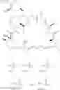 Fig. 41 - Phosphorus-containing compounds and uses thereof
