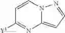 Fig. 43 - Substituted pyrazolo[1,5-a]pyrimidine compounds as mTOR inhibitors