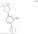 Fig. 44 - Substituted pyrazolo[1,5-a]pyrimidine compounds as mTOR inhibitors