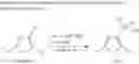 Fig. 96 - Heteroaryls and uses thereof
