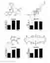 Fig. 01 - Method of modulating ship activity